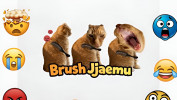 Brush Jjaemu