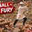Mall Fury